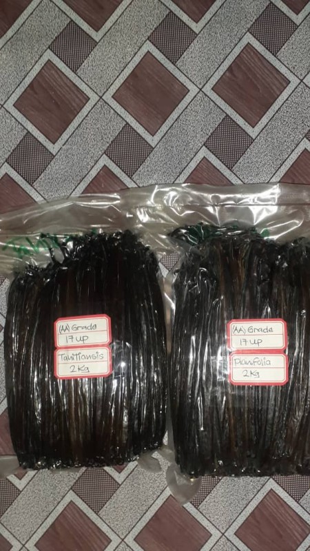 Laska Wanilii from Papua-Nowa Gwinea